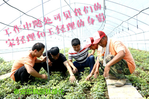 夏日來臨，當你吹空調(diào)喊熱的時候，讓我?guī)阋黄鹱哌M東楓園林體驗一下東楓人高溫下工作不一樣的夏日風采